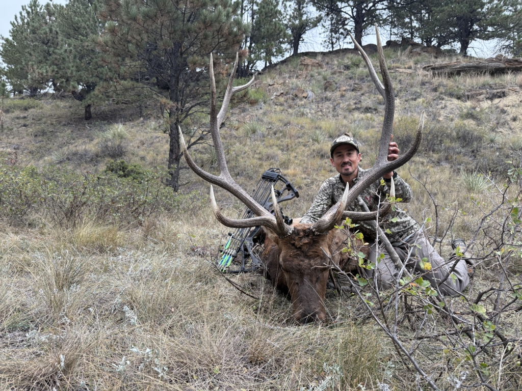 September Elk Dreams