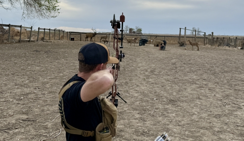 Aim Small, Miss Small At Distance On Small 3 D Targets