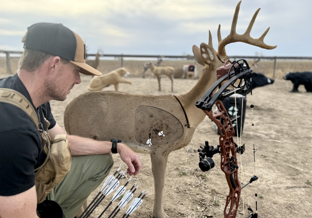 Aim Small, Miss Small At Distance On Small 3 D Targets