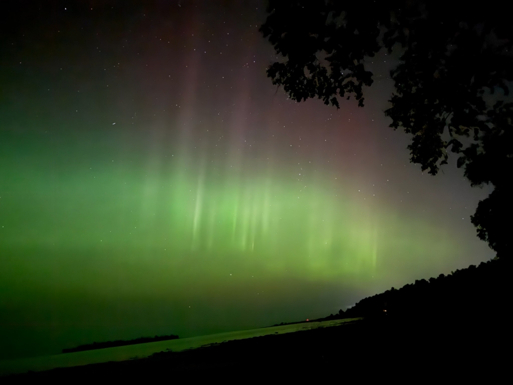 September Elk Dreams