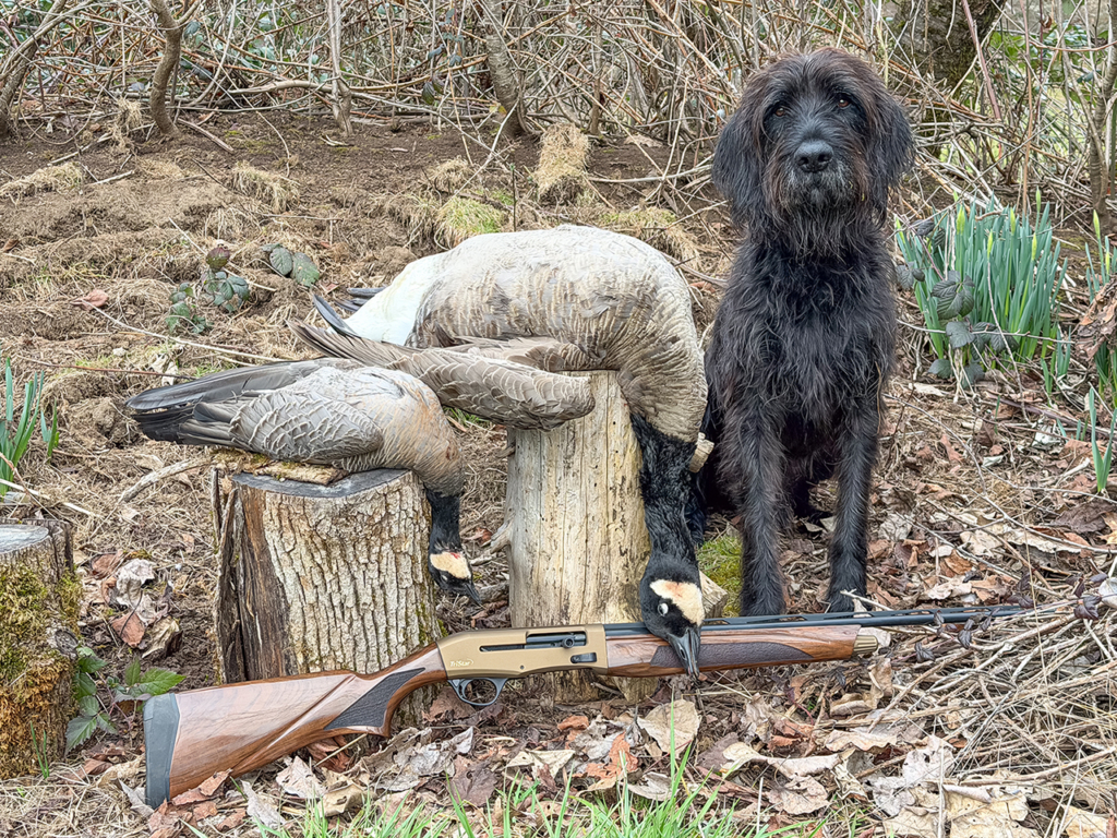 Tested True: Tristar Viper G2 .410 Bore