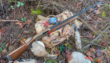 Tested True: Tristar Viper G2 .410 Bore