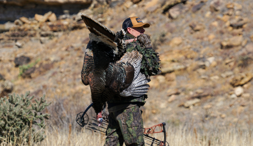 6 Must Have Run And Gun Turkey Gear Items