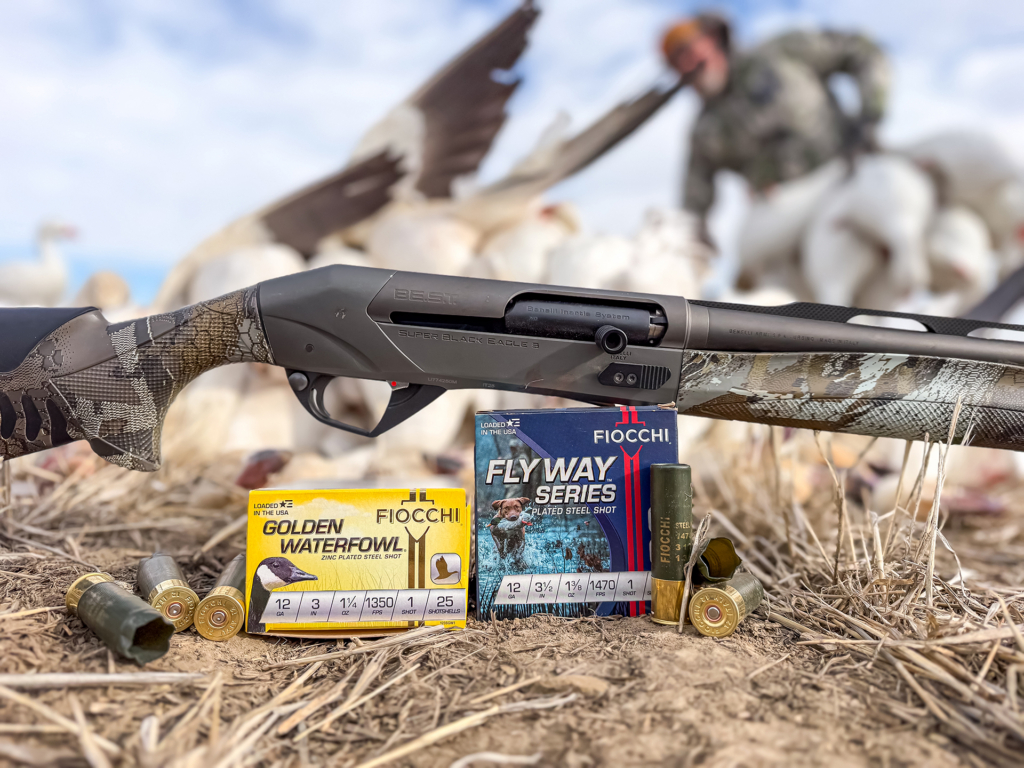 Chasing Spring Snow Geese In Alberta