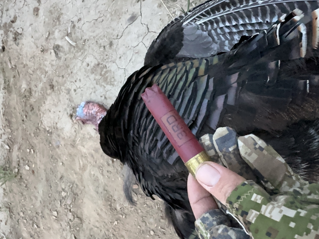 Lead Still Makes Them Dead