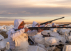 Chasing Spring Snow Geese In Alberta