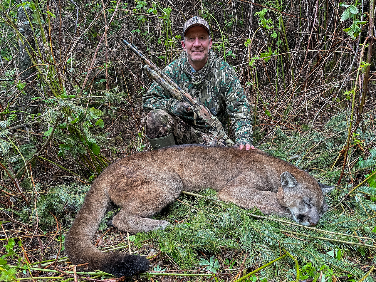 Cugars I How To Call Cougars In Close - Born Hunting