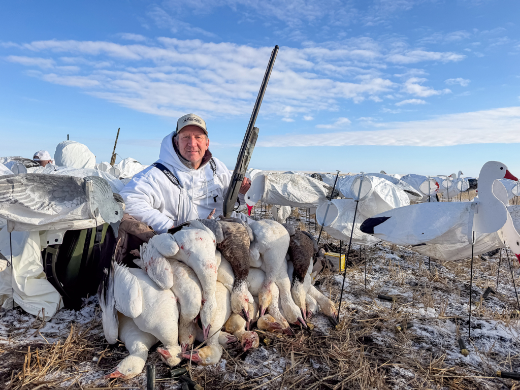 Chasing Spring Snow Geese In Alberta