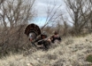 Why Is Turkey Hunting With A Reaping Style Decoy Hated?