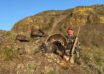 What 40 Years Of Turkey Hunting Has Taught Me