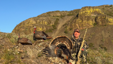 What 40 Years Of Turkey Hunting Has Taught Me