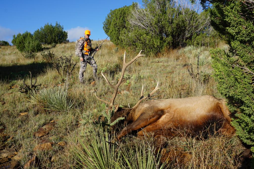 The Six Best Whitetail Killing Calibers