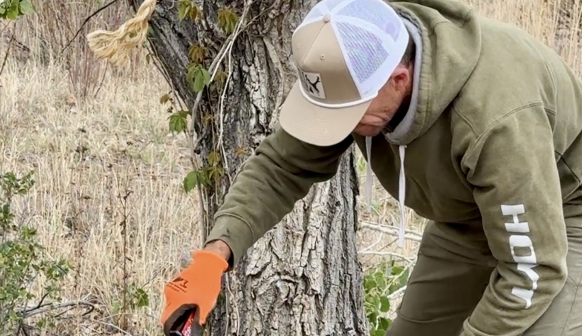 Strategies For Establishing Mock Scrapes