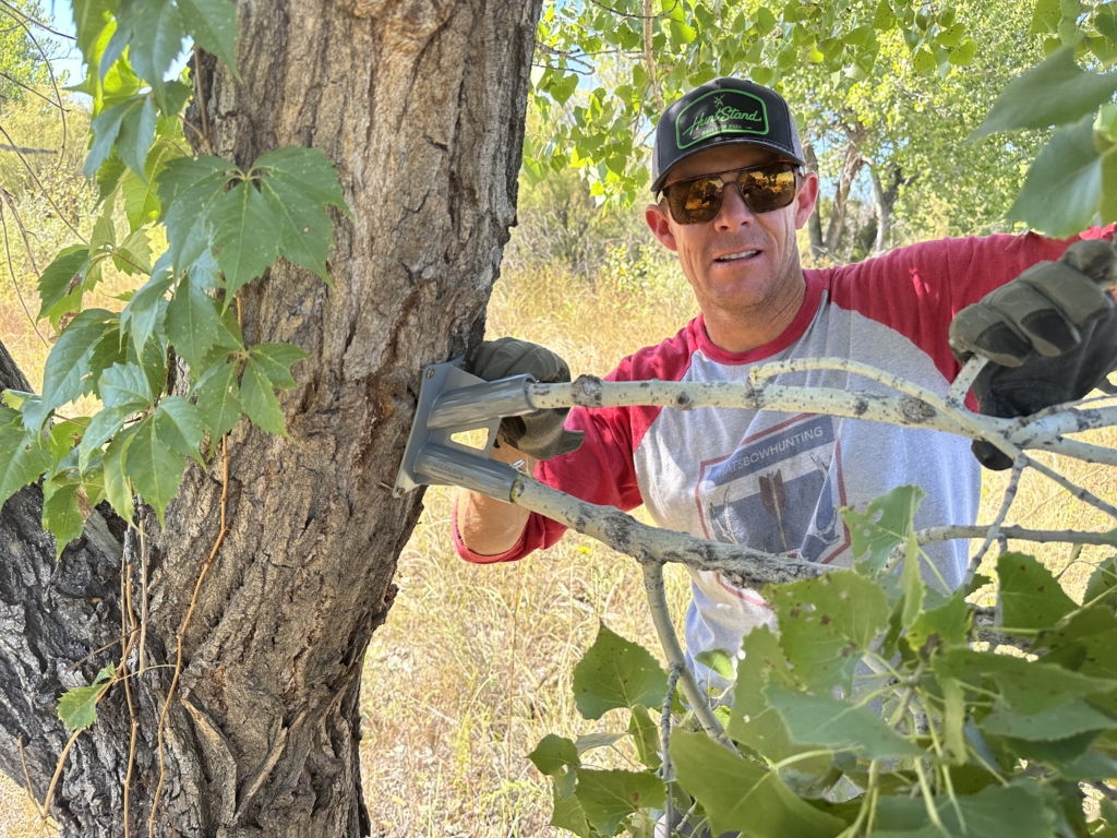 Strategies For Establishing Mock Scrapes
