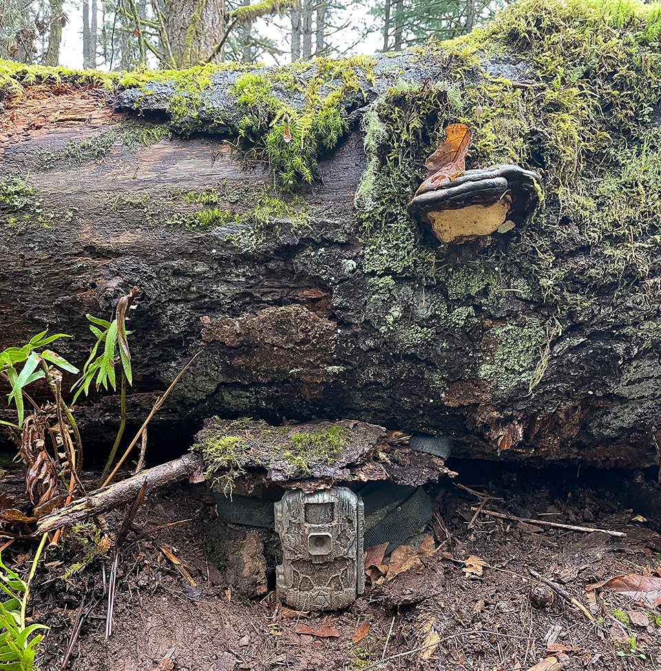 Tested True: Stealth Cam Ds4k Ultimate