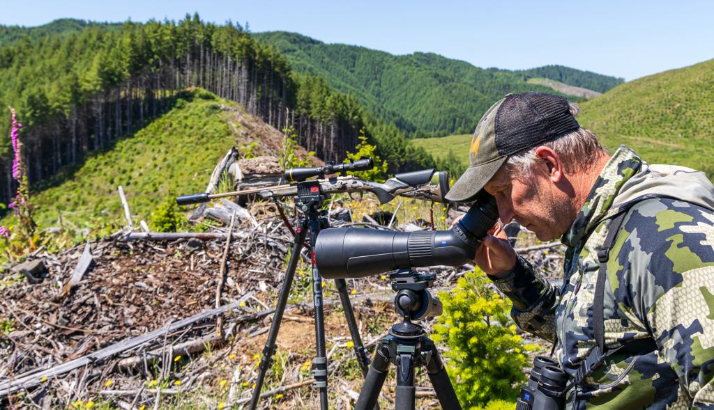 Black Bear Hunting Spring & Fall: Food Matters