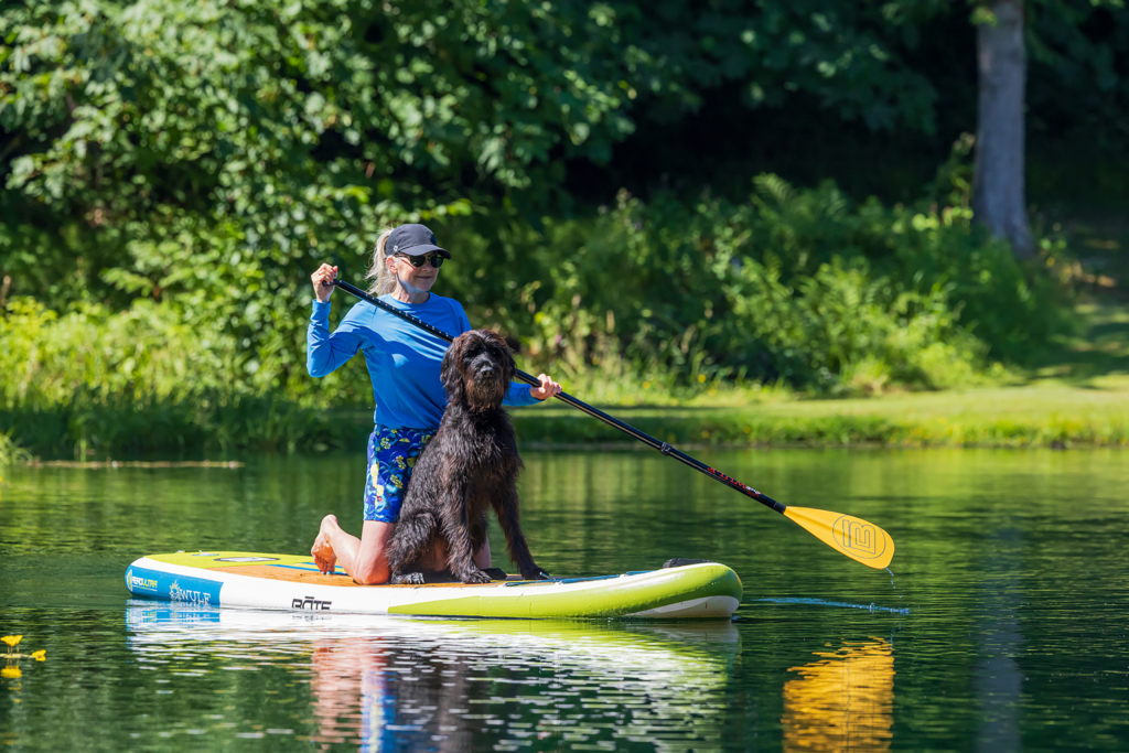 Summer Training Tips For Hunting Dogs: Keeping Your Pups Safe & Active