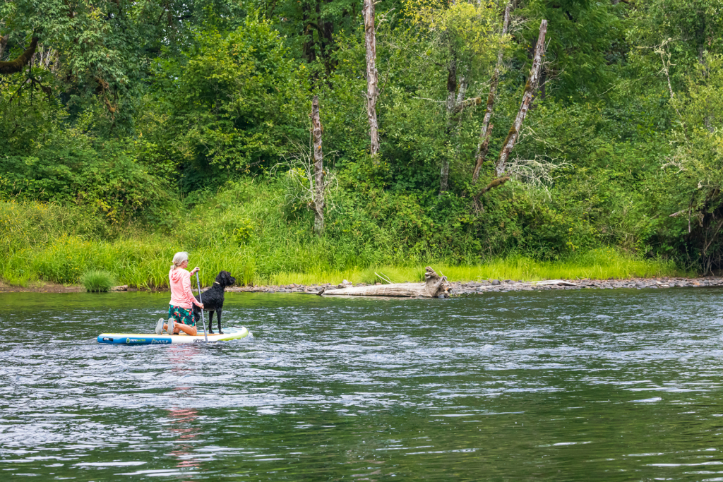 Summer Training Tips For Hunting Dogs: Keeping Your Pups Safe & Active