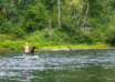 Summer Training Tips For Hunting Dogs: Keeping Your Pups Safe & Active