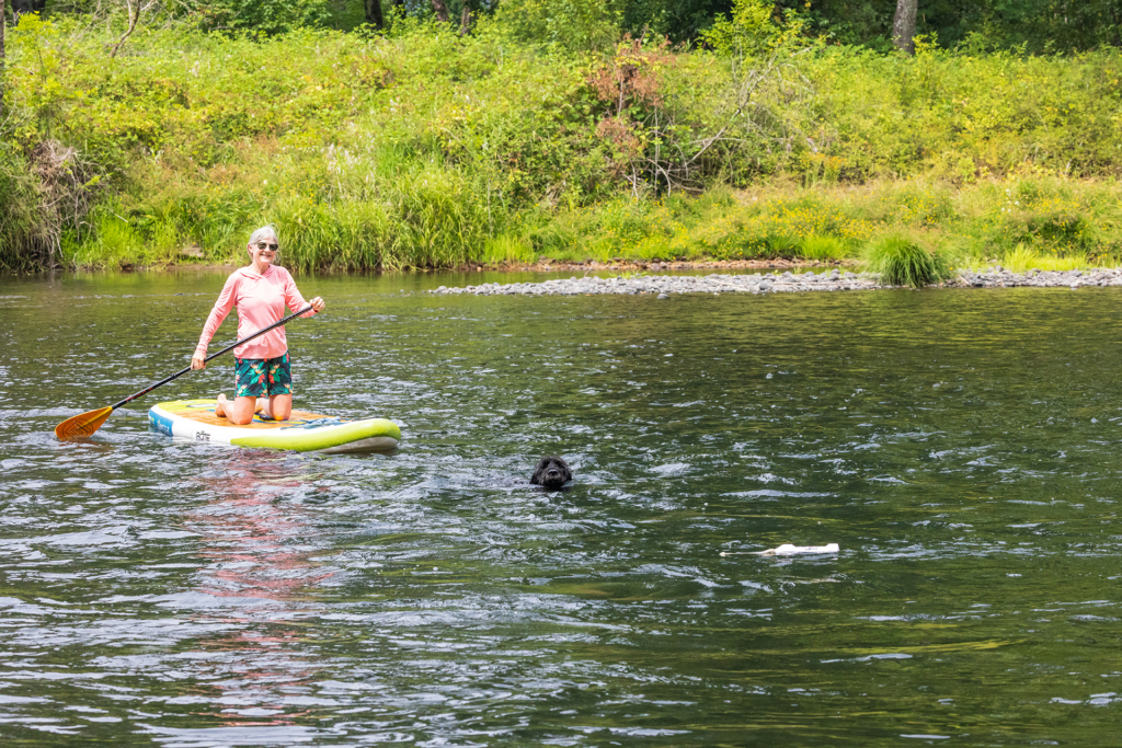 Summer Training Tips For Hunting Dogs: Keeping Your Pups Safe & Active
