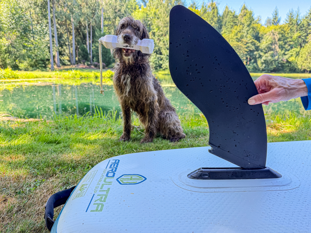 Summer Training Tips For Hunting Dogs: Keeping Your Pups Safe & Active