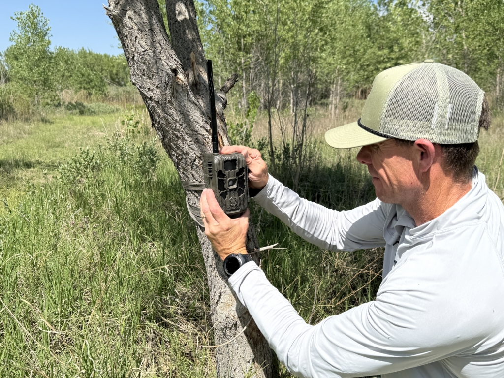 Tested True: Stealth Cam Deceptor Max 3.0