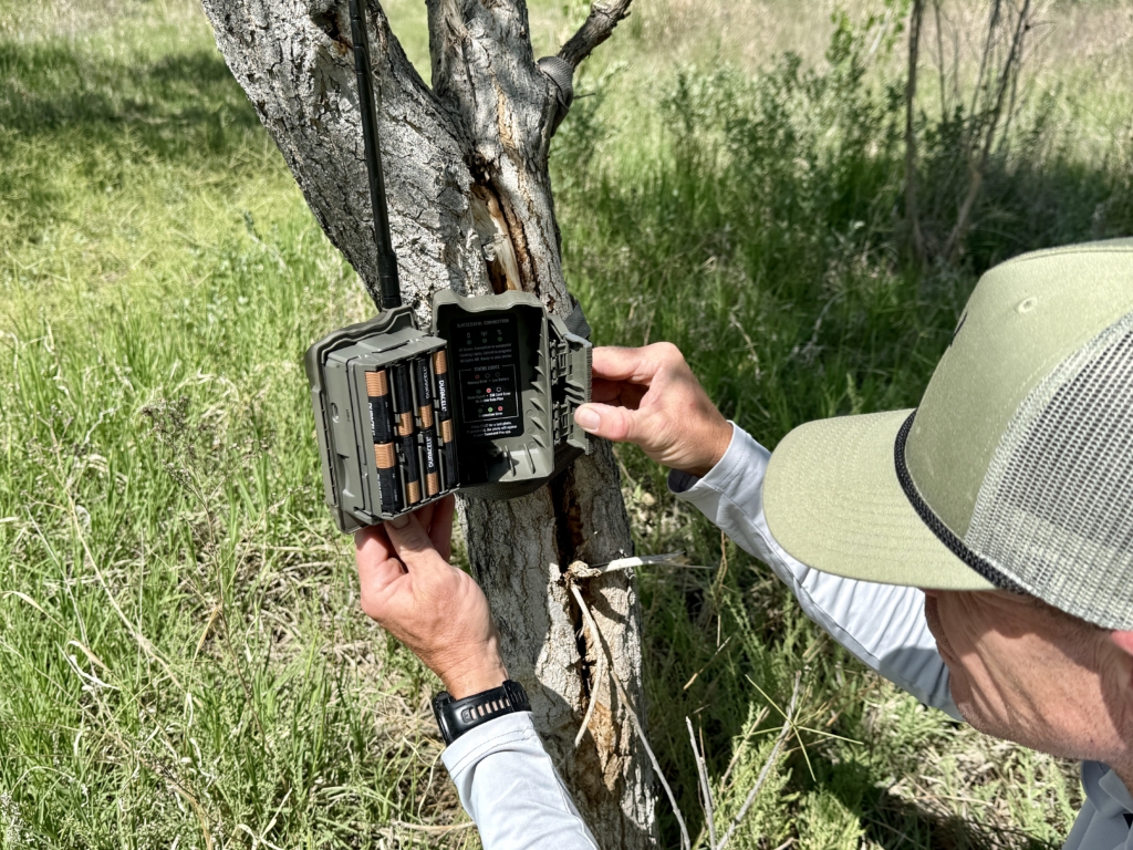 Tested True: Stealth Cam Deceptor Max 3.0