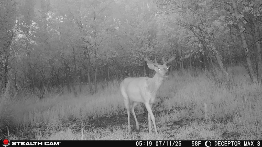 Tested True: Stealth Cam Deceptor Max 3.0