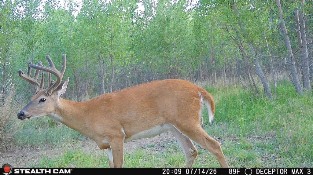 Tested True: Stealth Cam Deceptor Max 3.0