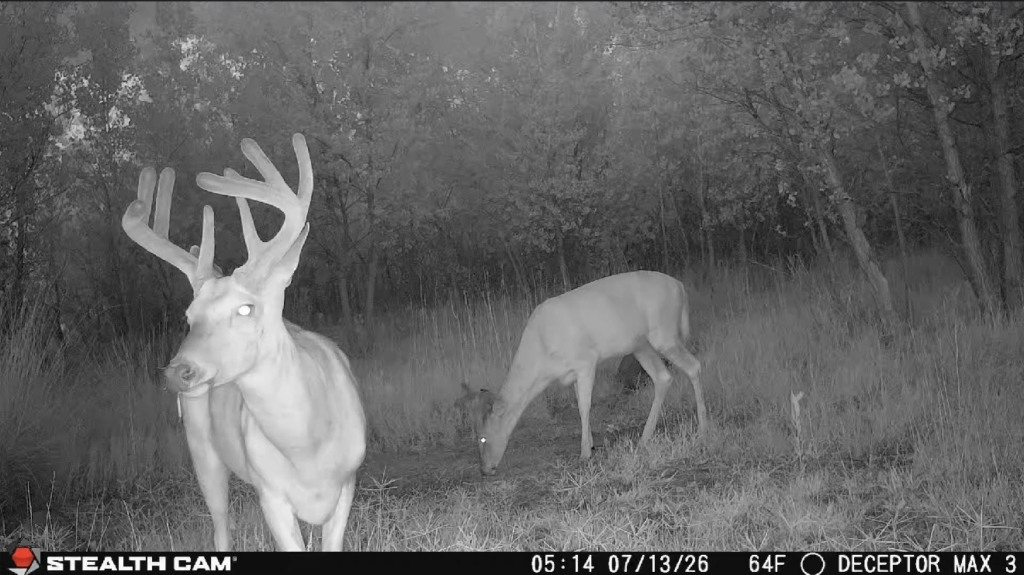 Tested True: Stealth Cam Deceptor Max 3.0