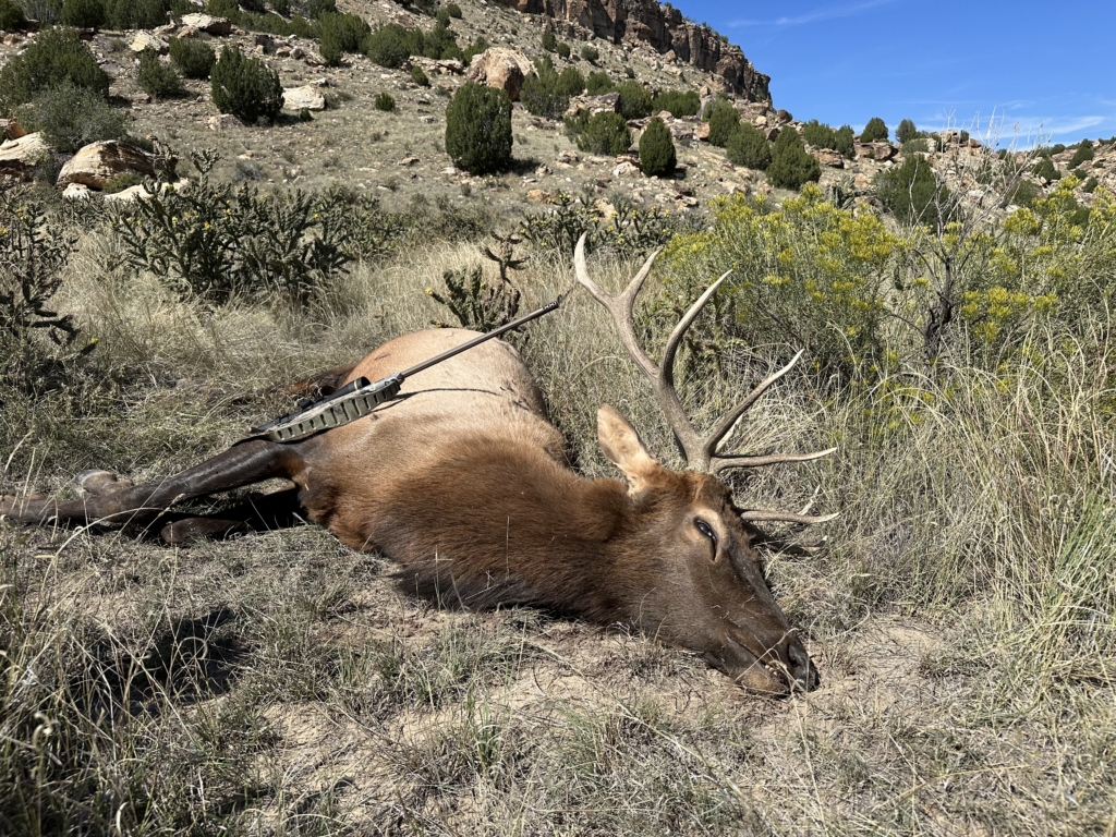 The Five Best Pronghorn Cartridges That Double As Elk Killers