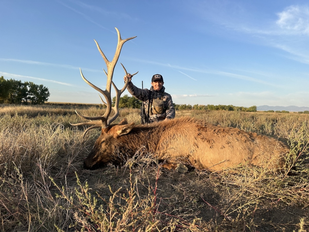 The Five Best Pronghorn Cartridges That Double As Elk Killers