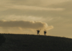 The Five Best Pronghorn Cartridges That Double As Elk Killers