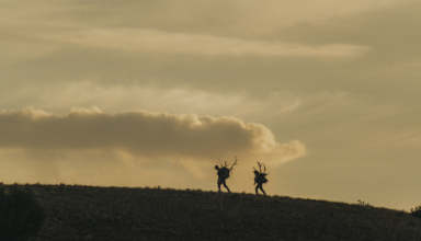 The Five Best Pronghorn Cartridges That Double As Elk Killers