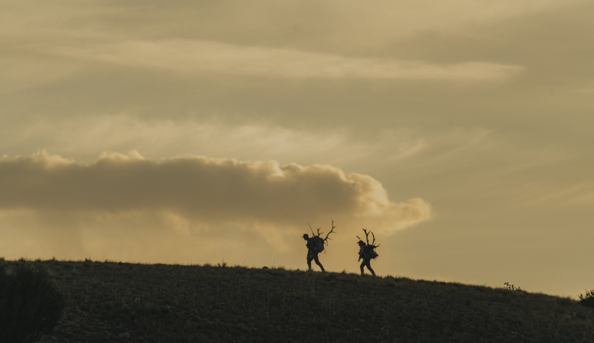 The Five Best Pronghorn Cartridges That Double As Elk Killers