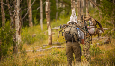 Five Early Season Archery Elk Mistakes You Don’t Want To Make