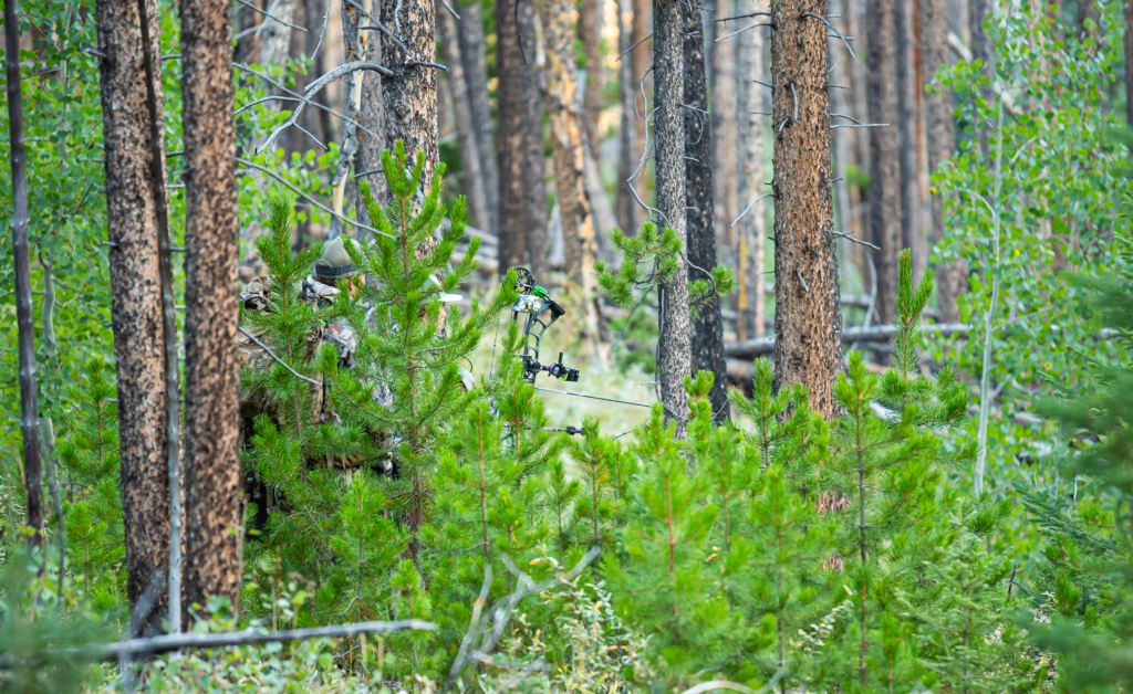 Five Early Season Archery Elk Mistakes You Don’t Want To Make