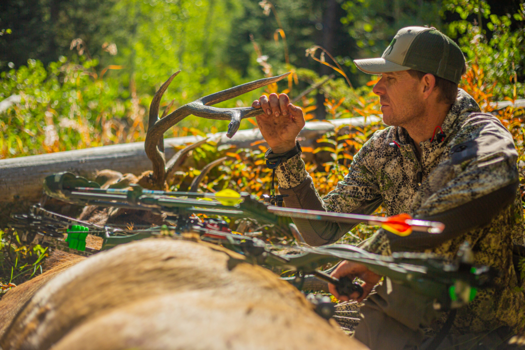 Five Early Season Archery Elk Mistakes You Don’t Want To Make