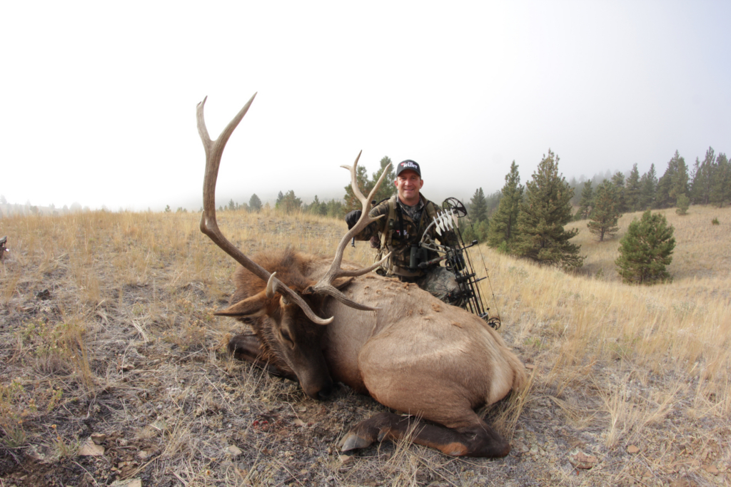 What First Time Elk Hunters Need To Know