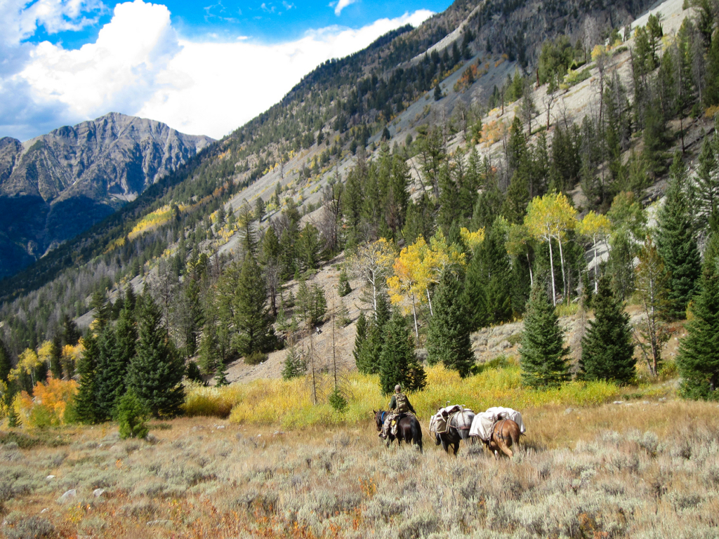 What First Time Elk Hunters Need To Know