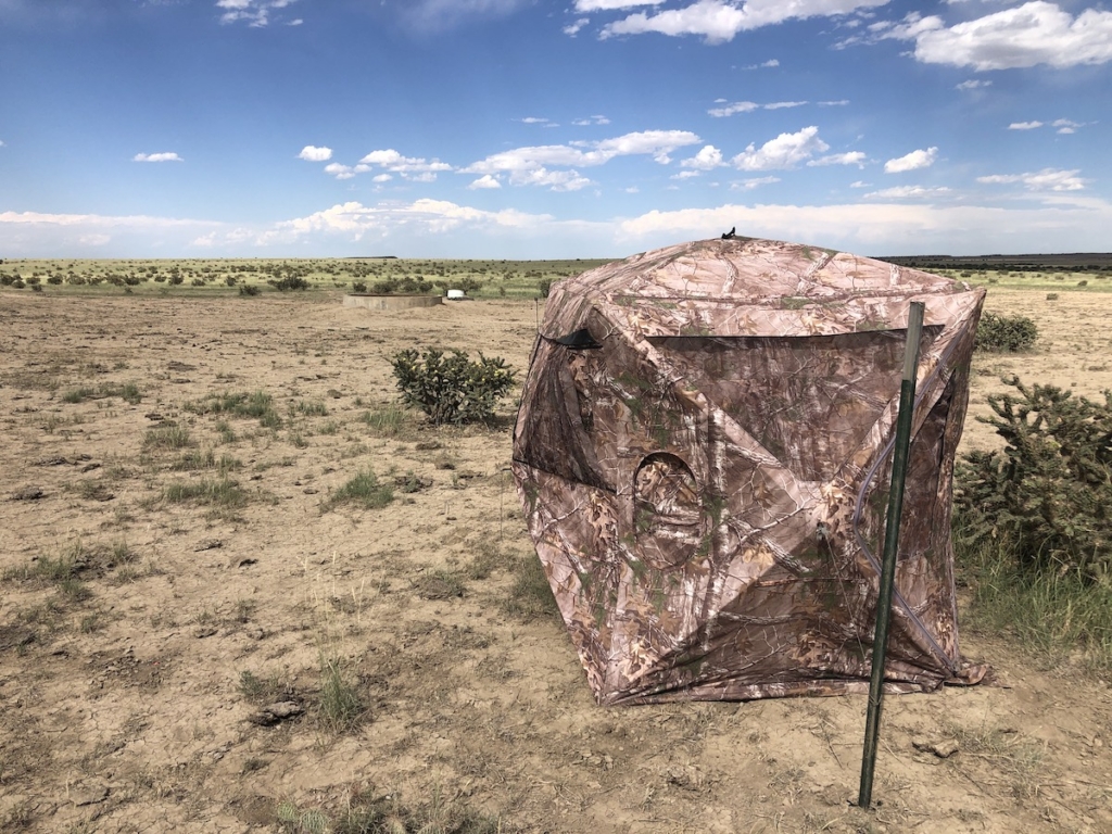 Bowhunting Pronghorn Sucks … Until It Doesn’t