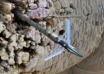 The Three Best Mechanical Broadheads Of 2026