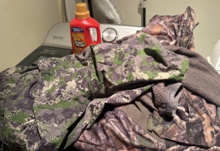 Seven Steps To Proper Scent Elimination