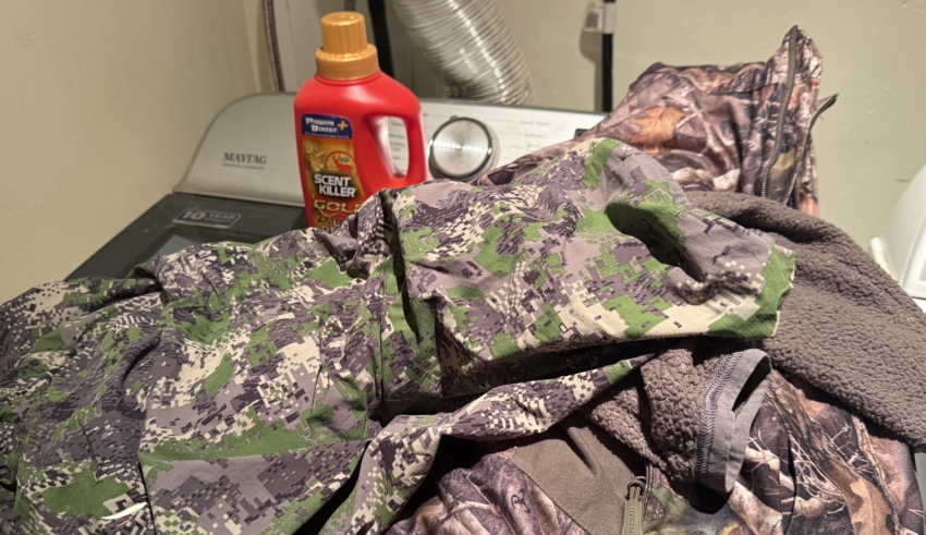 Seven Steps To Proper Scent Elimination