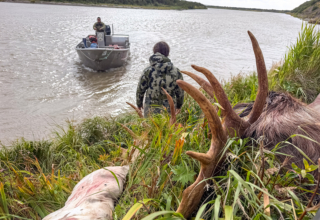 Top Hunt Gear For Alaska