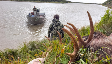 Top Hunt Gear For Alaska
