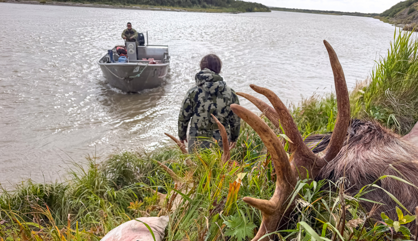 Top Hunt Gear For Alaska
