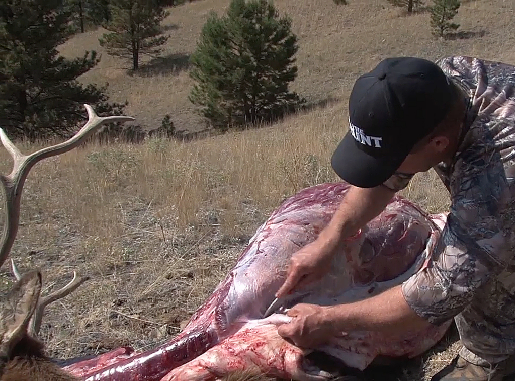 Go Gutless For Elk And Other Big Game