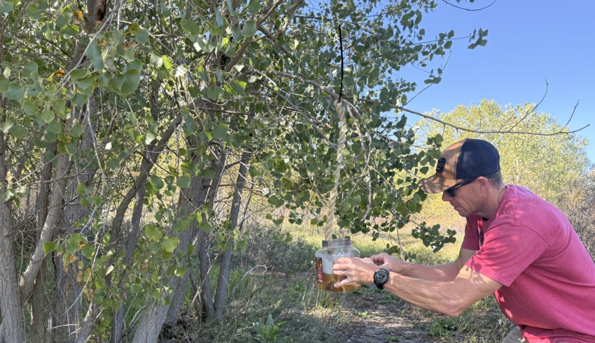 Scrape Hunting With Wildlife Research Products