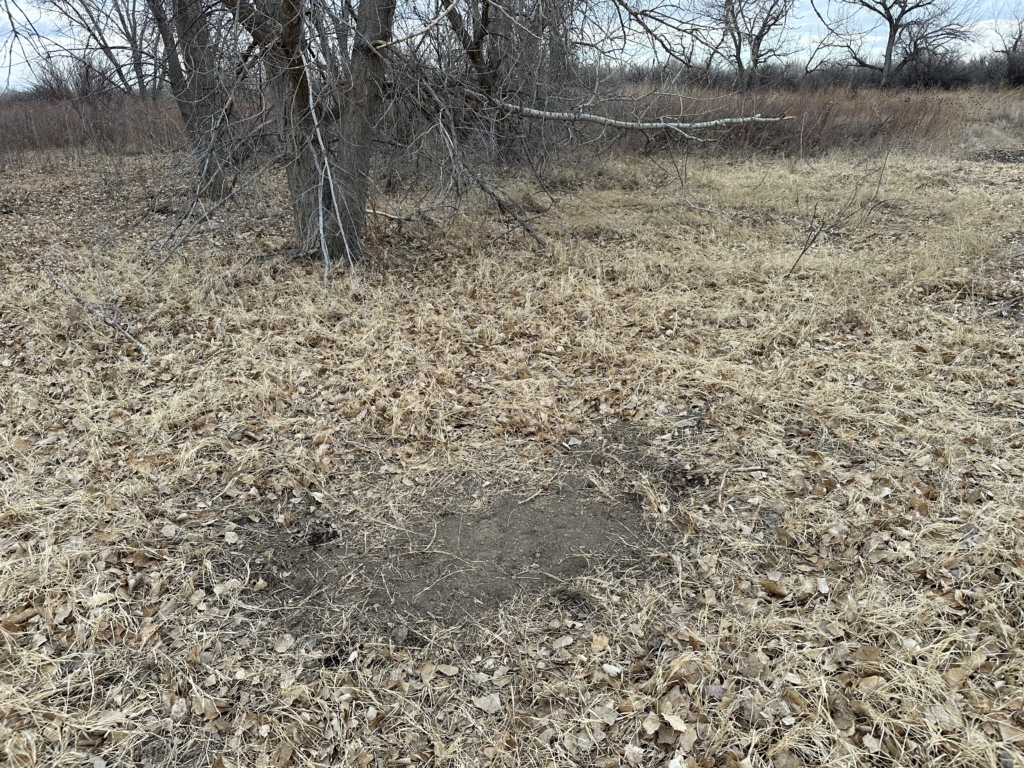 Scrape Hunting With Wildlife Research Products